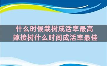 什么时候栽树成活率最高 嫁接树什么时间成活率最佳